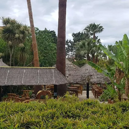 Appartement Location Saisonniere De Avril A Fin Octobre